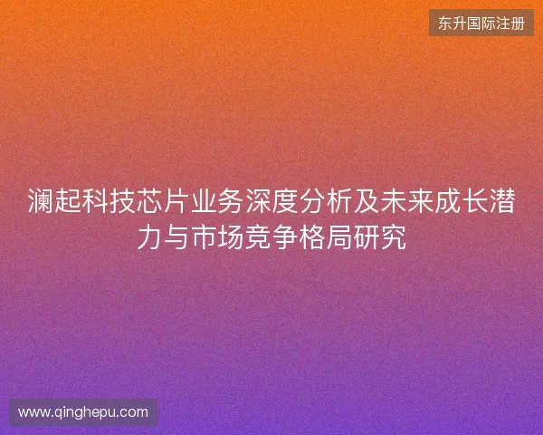 澜起科技芯片业务深度分析及未来成长潜力与市场竞争格局研究