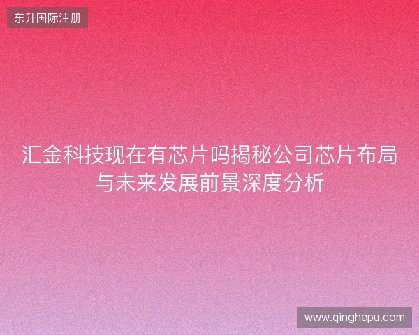 汇金科技现在有芯片吗揭秘公司芯片布局与未来发展前景深度分析